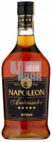 Stock Napoleon Ambassador 0.7L